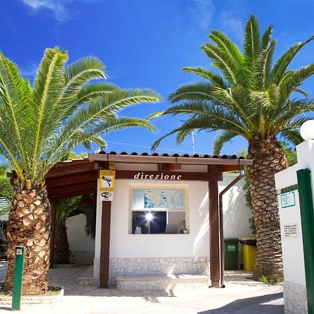 Residence La Conchiglia Vieste Exterior foto